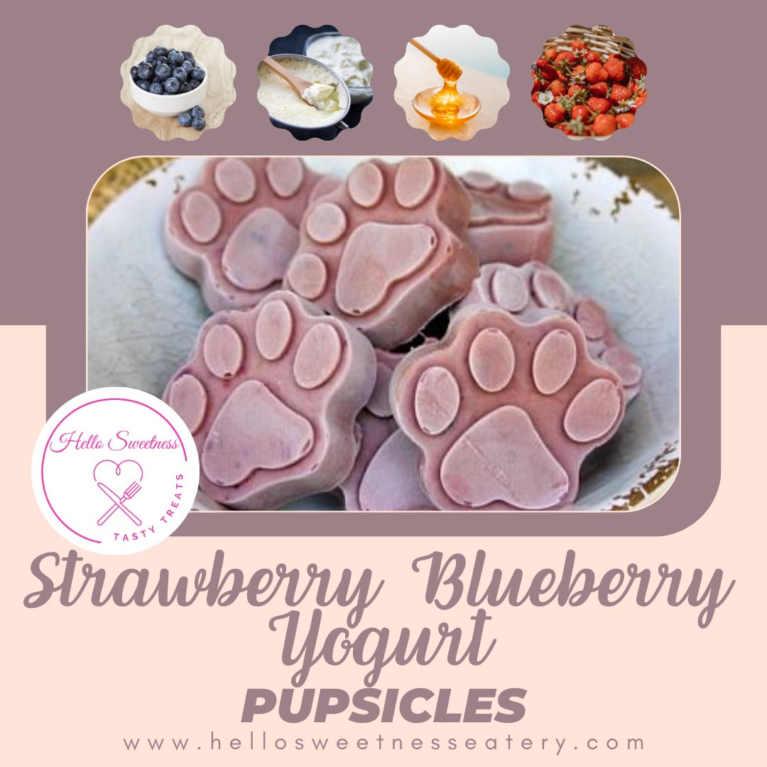 Strawberry Blueberry Yogurt PUPsicle